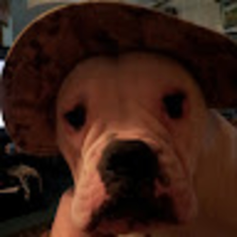 Meet your Posher, Tom